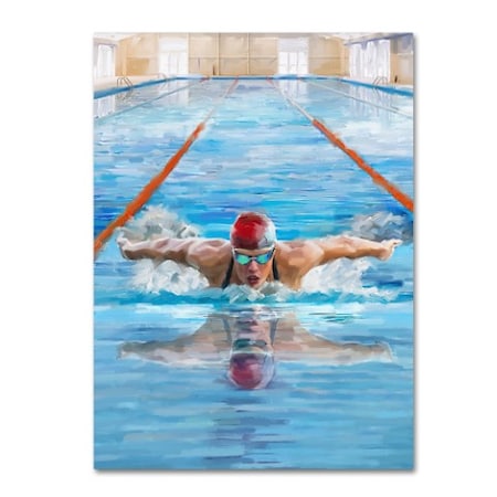 The Macneil Studio 'Swimming' Canvas Art,35x47